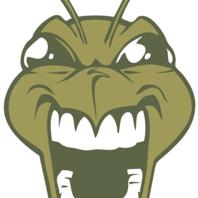 BAW BEE 13 RC Thumbnail