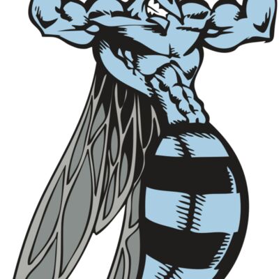 BAW BEE 08 RC Thumbnail