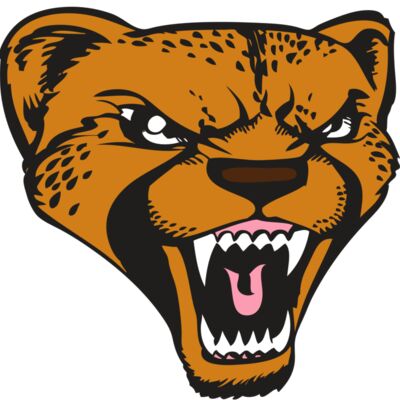 BAW CHEETAH 12 RC Thumbnail