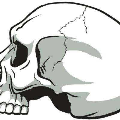 AR24 SKULL 11 RQC Thumbnail