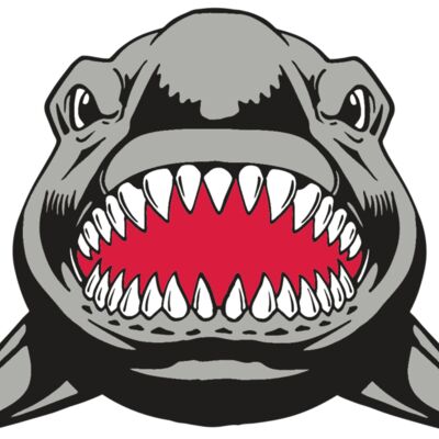 AR  SHARK 25 RC Thumbnail