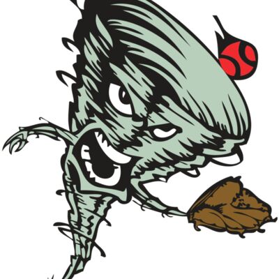 BAW STORM 09 RC Thumbnail